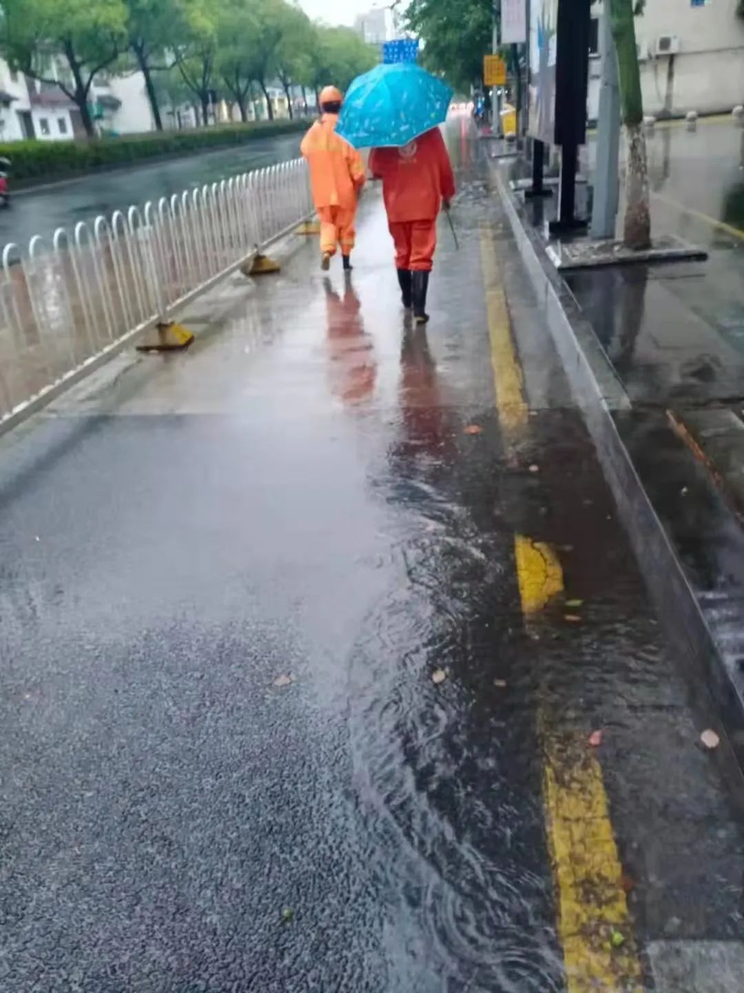 202307071294.jpg 202307071294.jpg