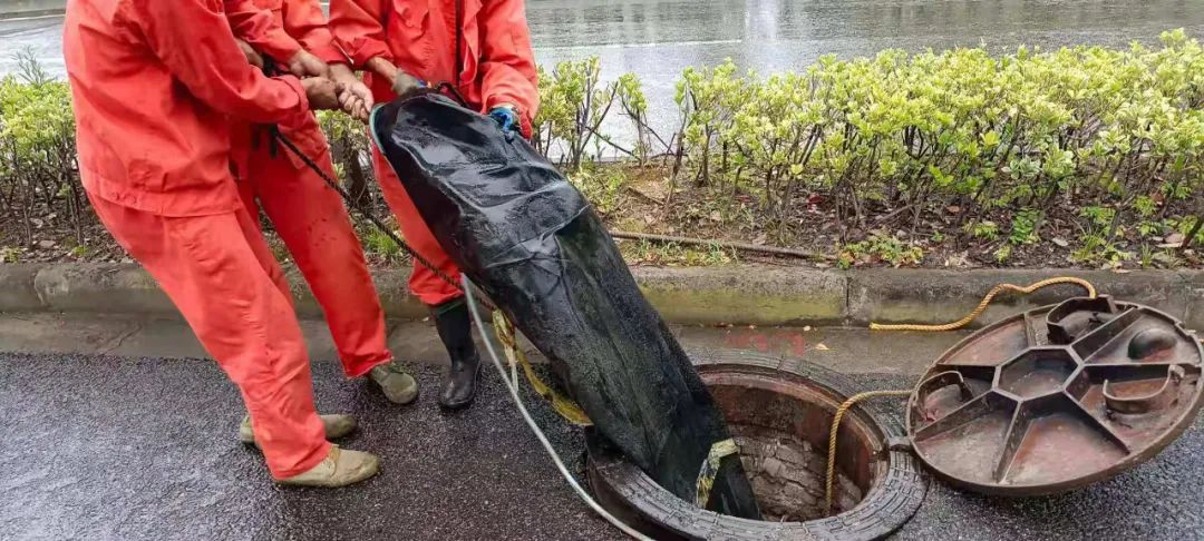 202307071497.jpg 202307071497.jpg