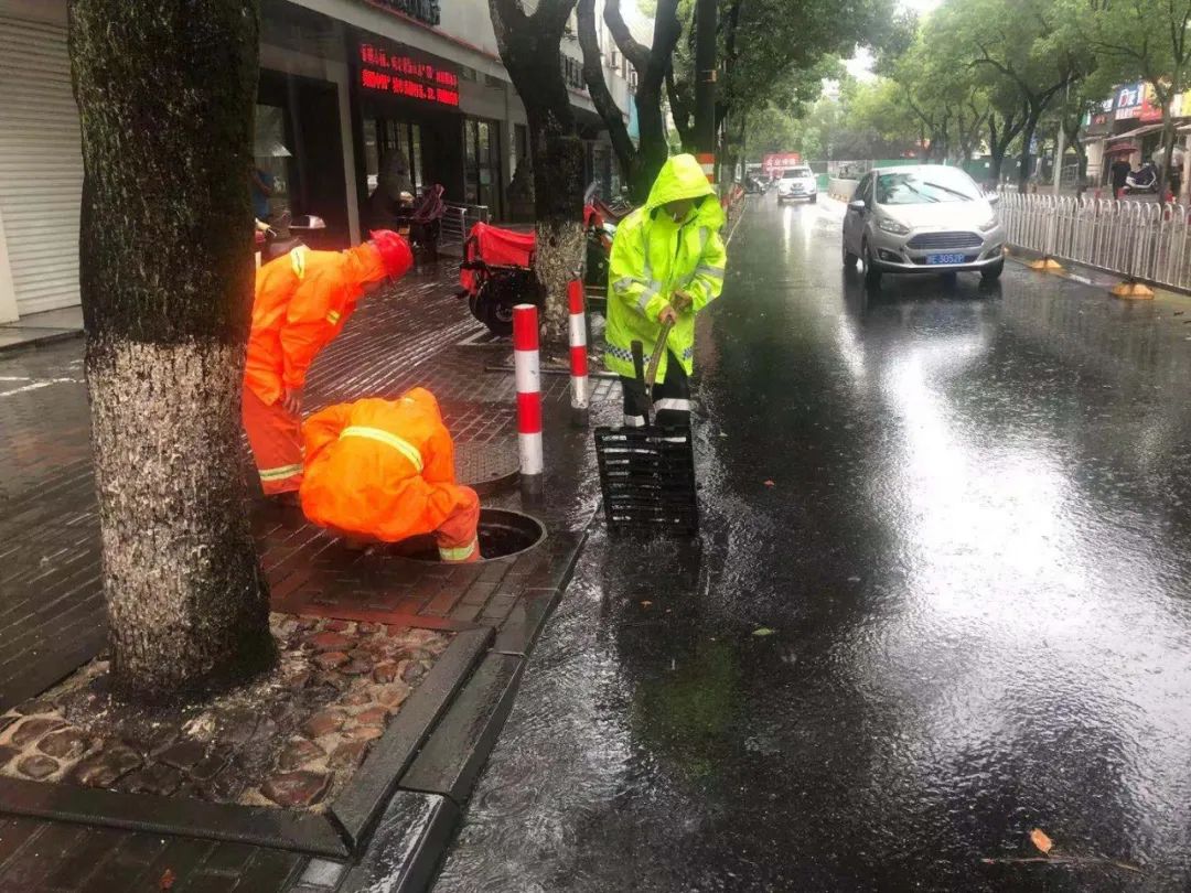 202307071695.jpg 202307071695.jpg