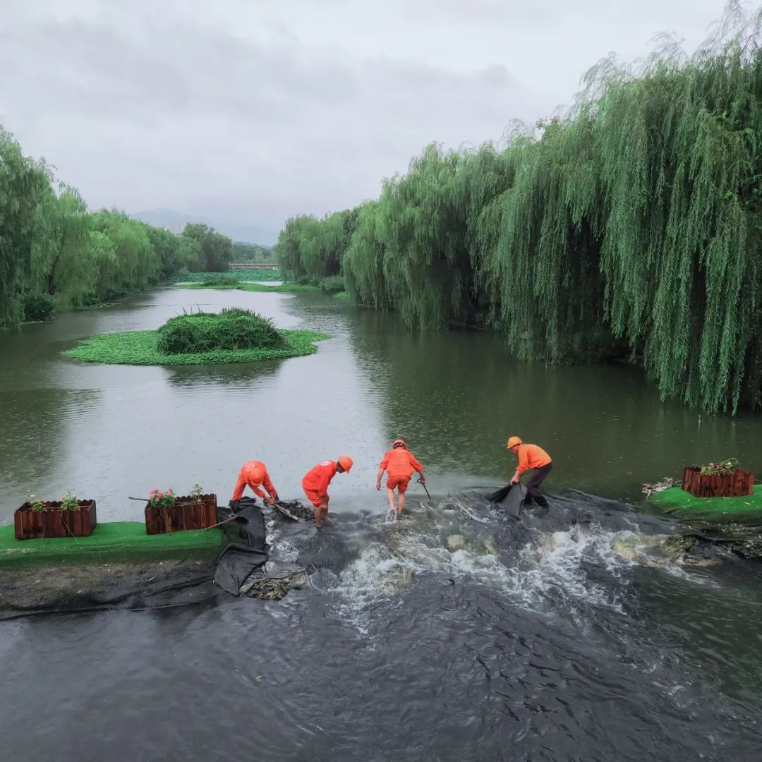 202307071726.jpg 202307071726.jpg