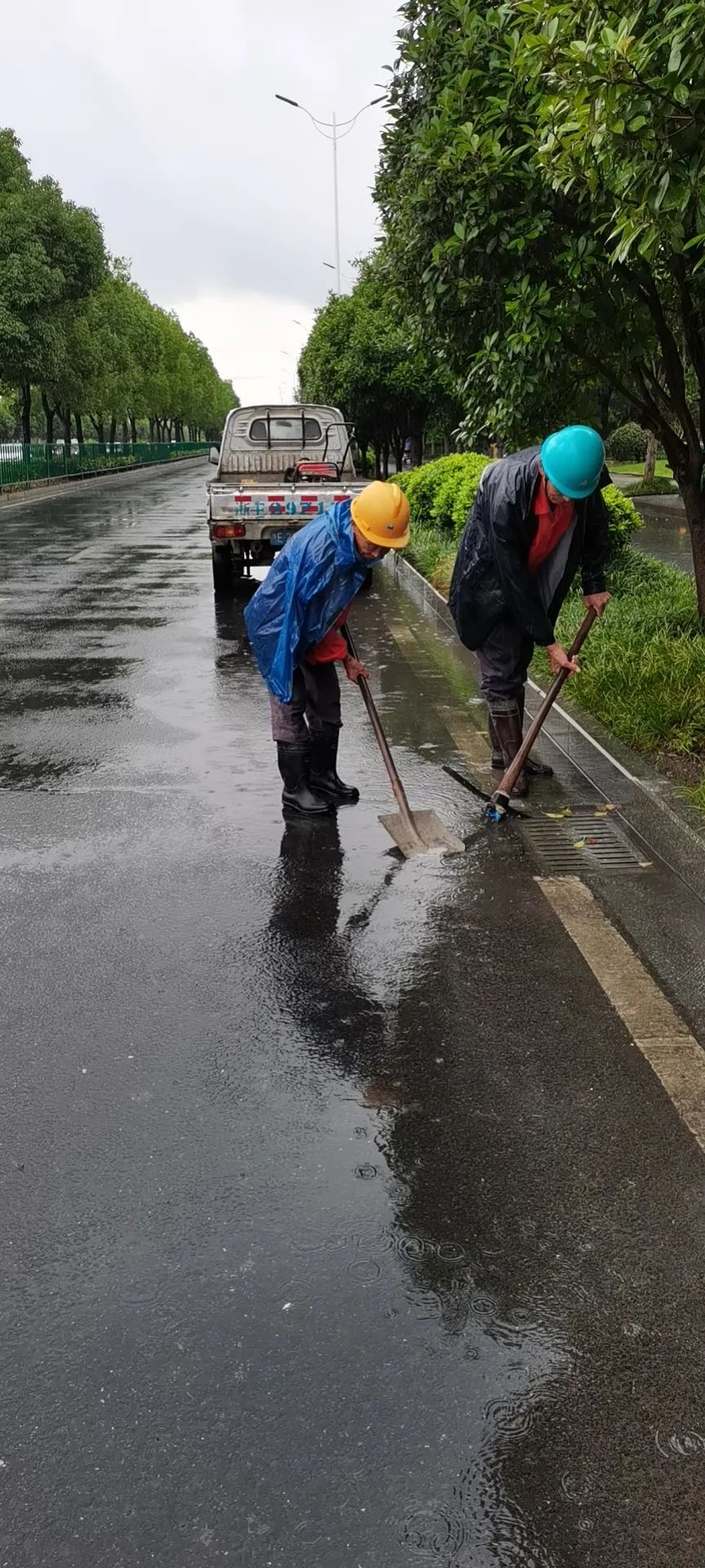 202307071776.jpg 202307071776.jpg