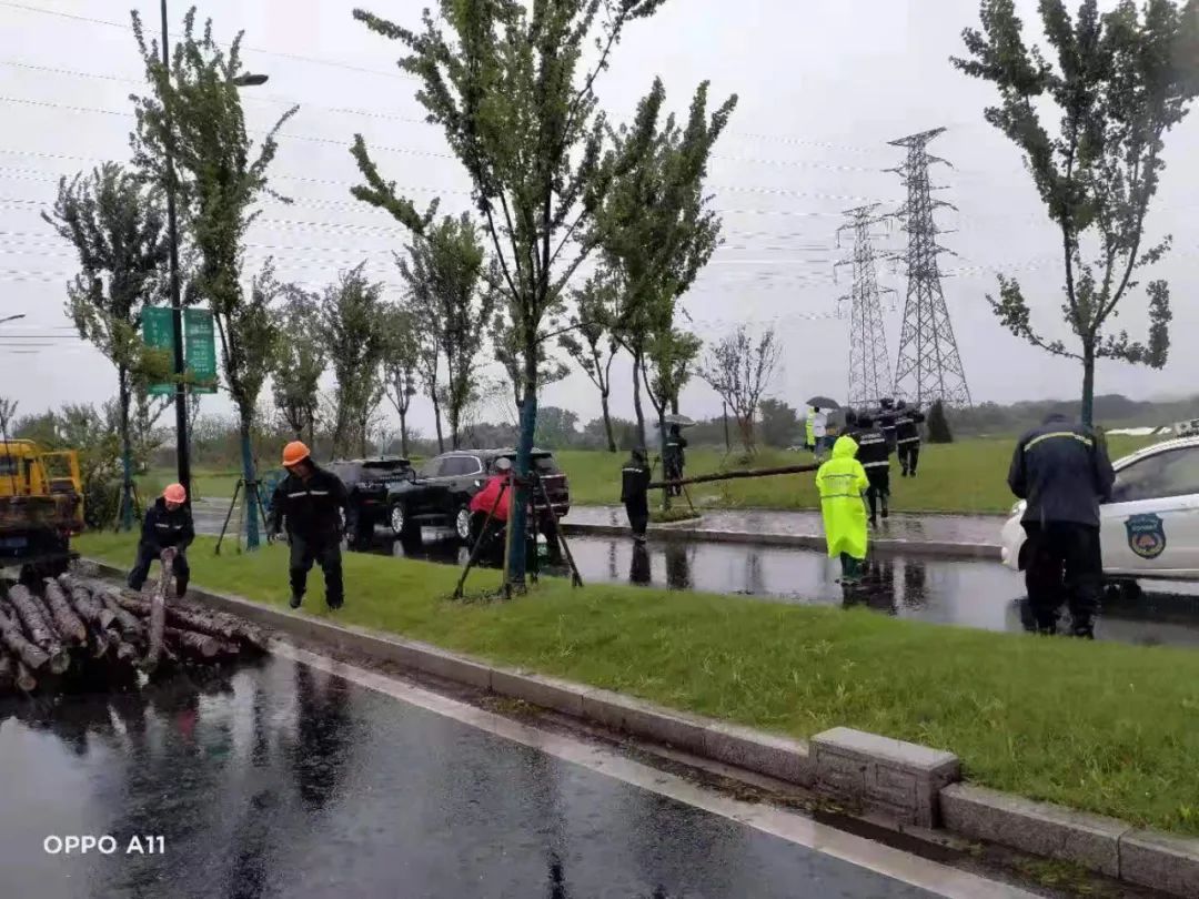 202307072122.jpg 202307072122.jpg