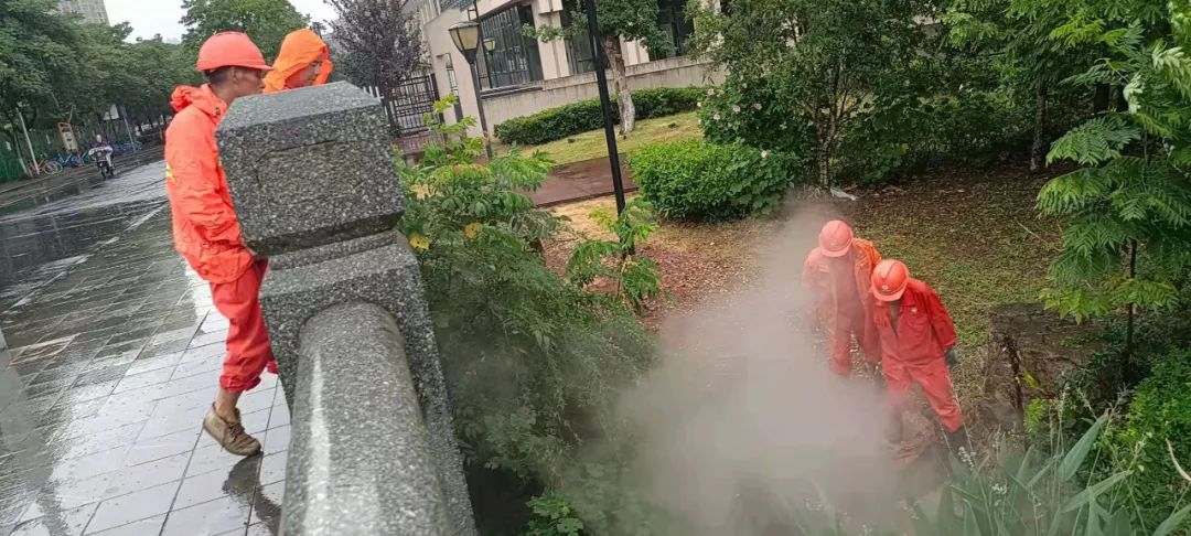 202307075260.jpg 202307075260.jpg